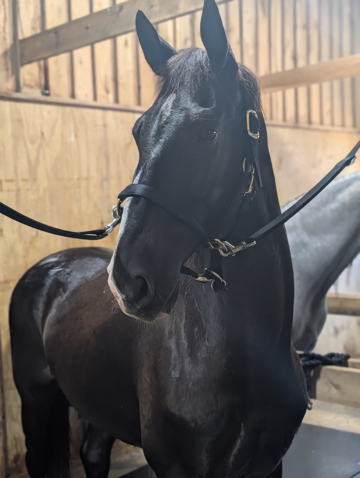 The Barn Aisle